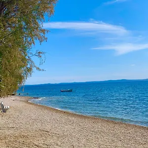 Croadriatic Vir